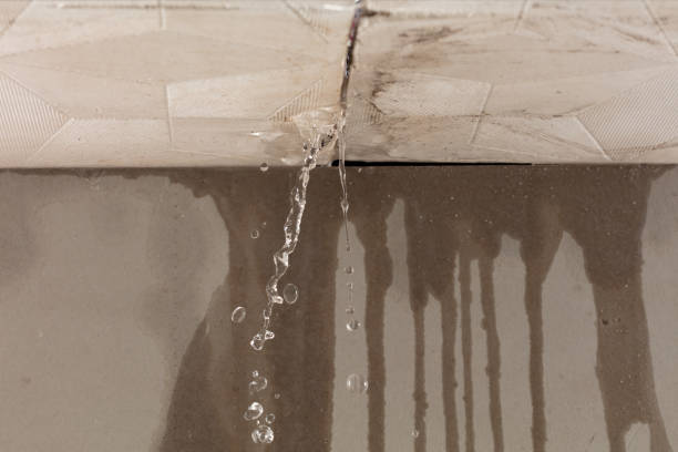 Professional Sewage Cleanup technician working in Needham Heights, MA